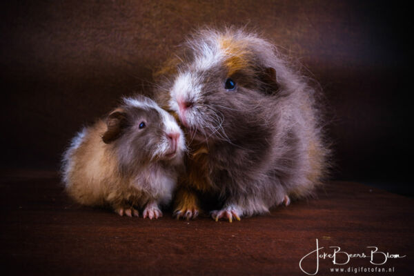 Zo blij met deze serie, Boris was zo lief voor die kleine