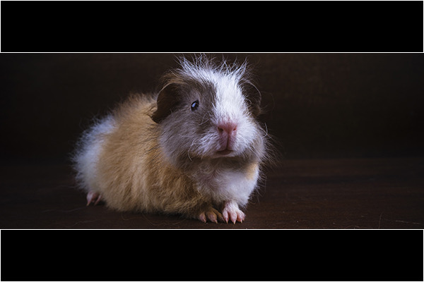 Weer iets later, hij groeide hard