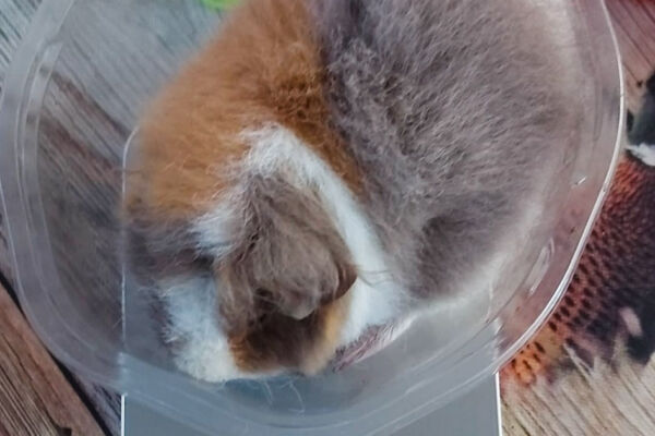 Weegmomentje tijdens onze vakantie