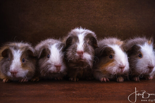 Nog een keer met zijn broertje en drie zusjes