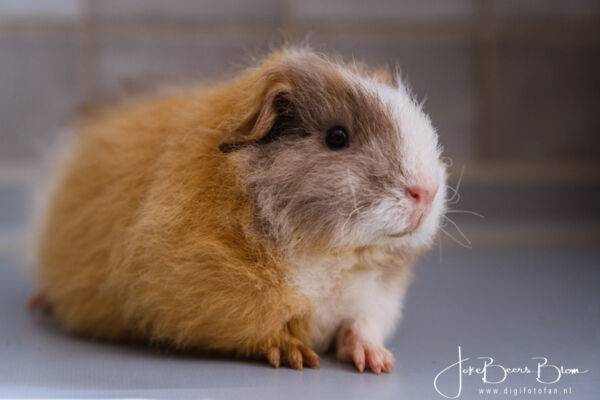 Eind augustus toen we op vakantie gingen