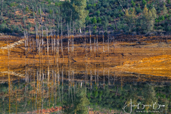 Hier halen ze het water vandaan