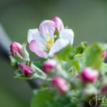 Bij overnachtingsplek in Notodden