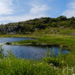 Overnachtingsplek aan een mooi meertje met heel veel wilde bloemen in de omgeving