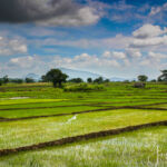 Prachtige landschappen