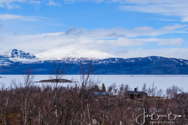 03 05 2026 016 Omg Abisko Tornetrask
