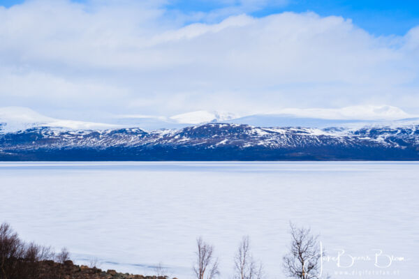 03 05 2026 022 Omg Abisko Tornetrask