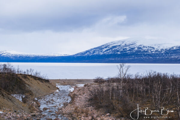 03 05 2026 025 Omg Abisko Tornetrask