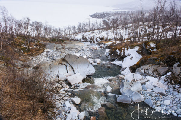 03 05 2026 042 Omg Abisko Tornetrask