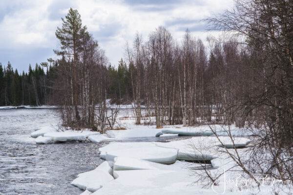 24 04 2026 004 Aan rivier Byske