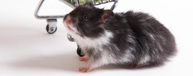 Foto7daagse Dag 7 #f7d