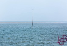 wpid13897-25-04-2014-100-Robbentocht.jpg