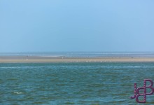 wpid13917-25-04-2014-140-Robbentocht.jpg
