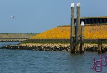 Mooi die kleuren