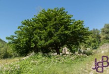 Mooie blauwe lucht maar toch minder interessant
