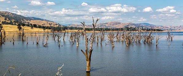 Een nieuw Australisch avontuur 5
