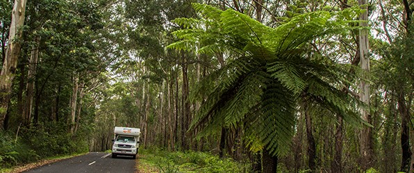 Een nieuw Australisch avontuur 6 (slot)