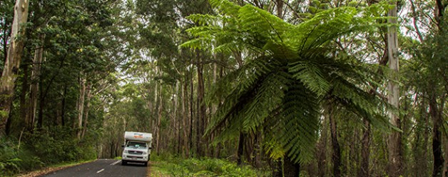 Een nieuw Australisch avontuur 6 (slot)