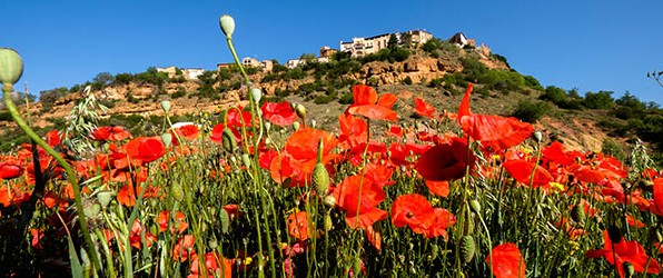 Foto’s Spanje en Frankrijk online