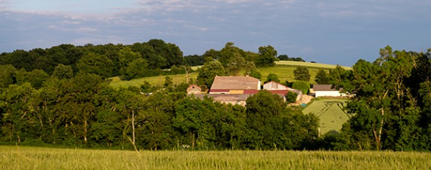 De invloed van het licht