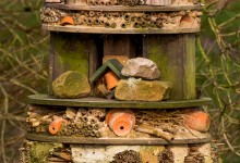 335 mm f/5,6 1/200e sec