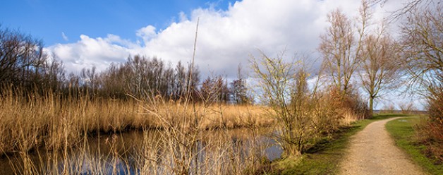 Mijn nieuwe boek: Fotograferen met een Sony camera