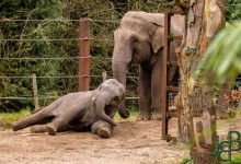 Moeder is de baas :-)