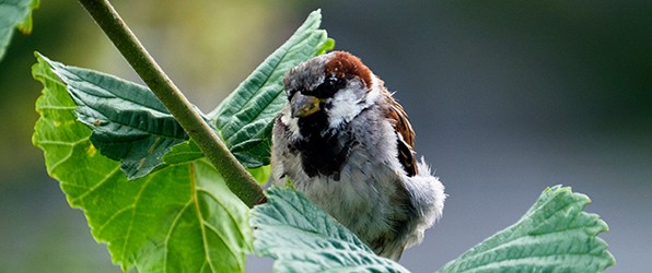 Fotokaarten van Greetz.nl