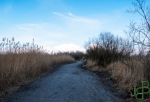 01-03-2017 047 Oostvaardersplassen