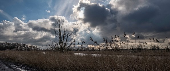 Voor het eerst op pad met de Fuji X-T20