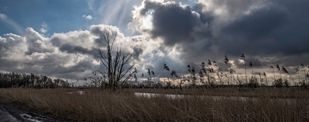 Voor het eerst op pad met de Fuji X-T20