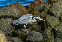 Tijdje in het gat staren