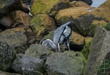 Begin van de timelapse