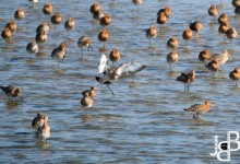 Ook hier regelmatig ruzie!