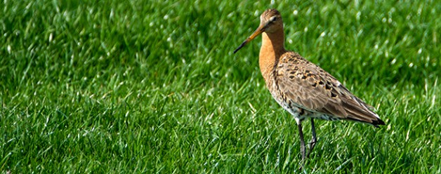 Met de fiets en de camera op pad