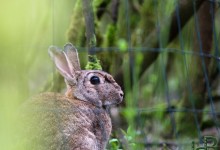 05-04-2017 327 Vanuit vogelhut Huizen