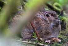 05-04-2017 332 Vanuit vogelhut Huizen