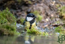 05-04-2017 168 Vanuit vogelhut Huizen