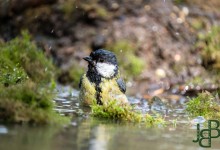 05-04-2017 172 Vanuit vogelhut Huizen