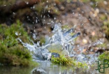 05-04-2017 181 Vanuit vogelhut Huizen