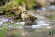 05-04-2017 360 Vanuit vogelhut Huizen