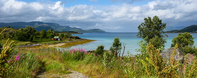 Matig weer, mooi licht!