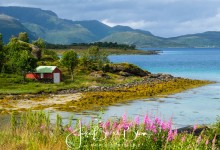 Bij Maurnes Vesterålen Noorwegen