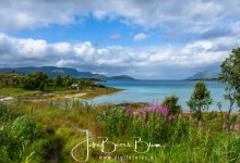 Bij Maurnes Vesterålen Noorwegen
