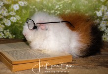 02-11-2017 040 Ernie