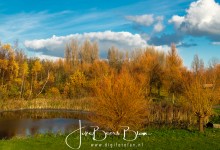 Polarisatiefilter toegepast op 50%