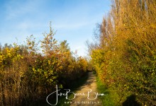 17-11-2017 032 Vooroever