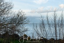 17-11-2017 067 Vooroever