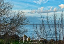 Polarisatiefilter toegepast op 50%