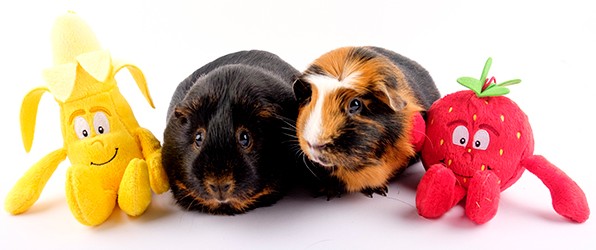 Week 7 52 weken project